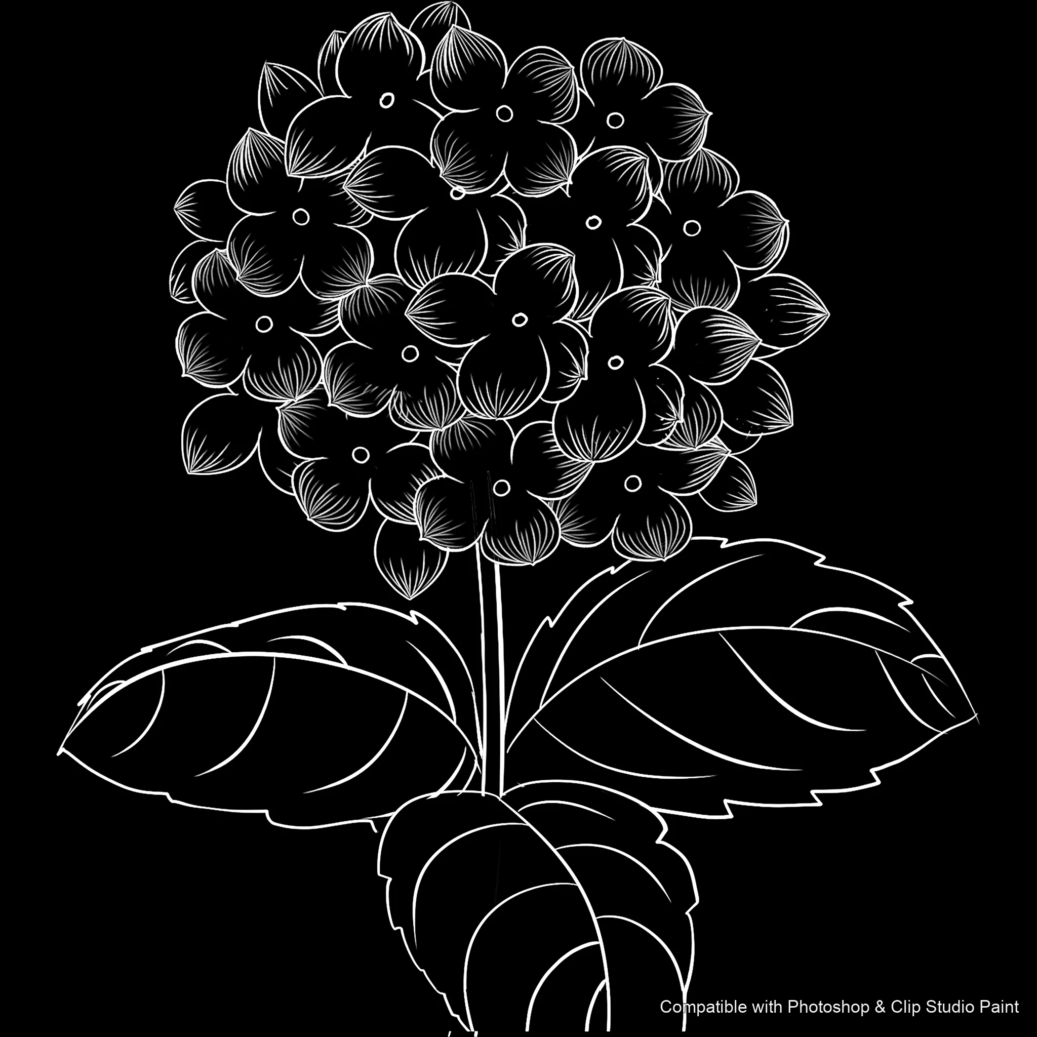 Bloom Craft brush 16 of 40 — Photoshop & Clip Studio Paint .abr preview