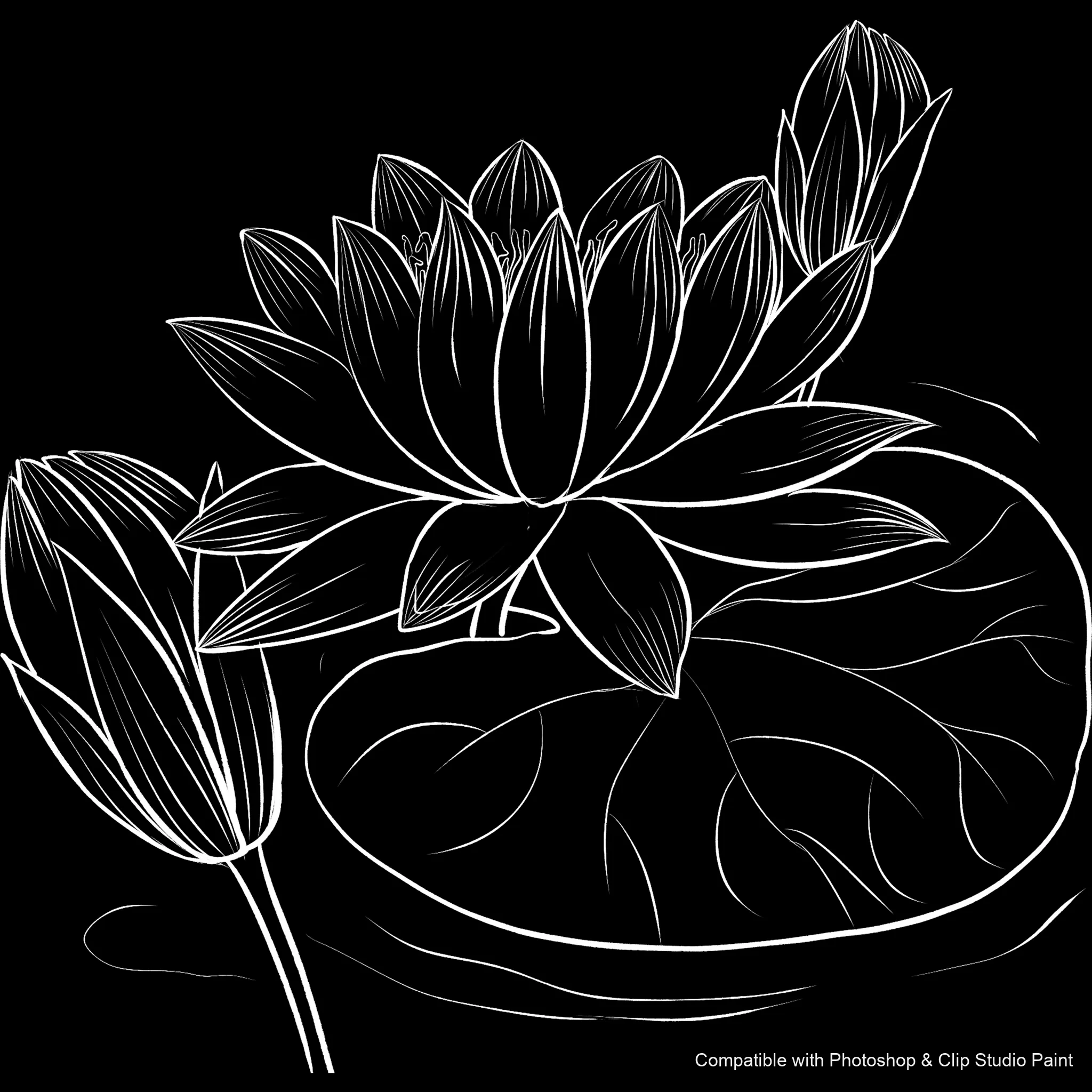 Bloom Craft brush 17 of 40 — Photoshop & Clip Studio Paint .abr preview