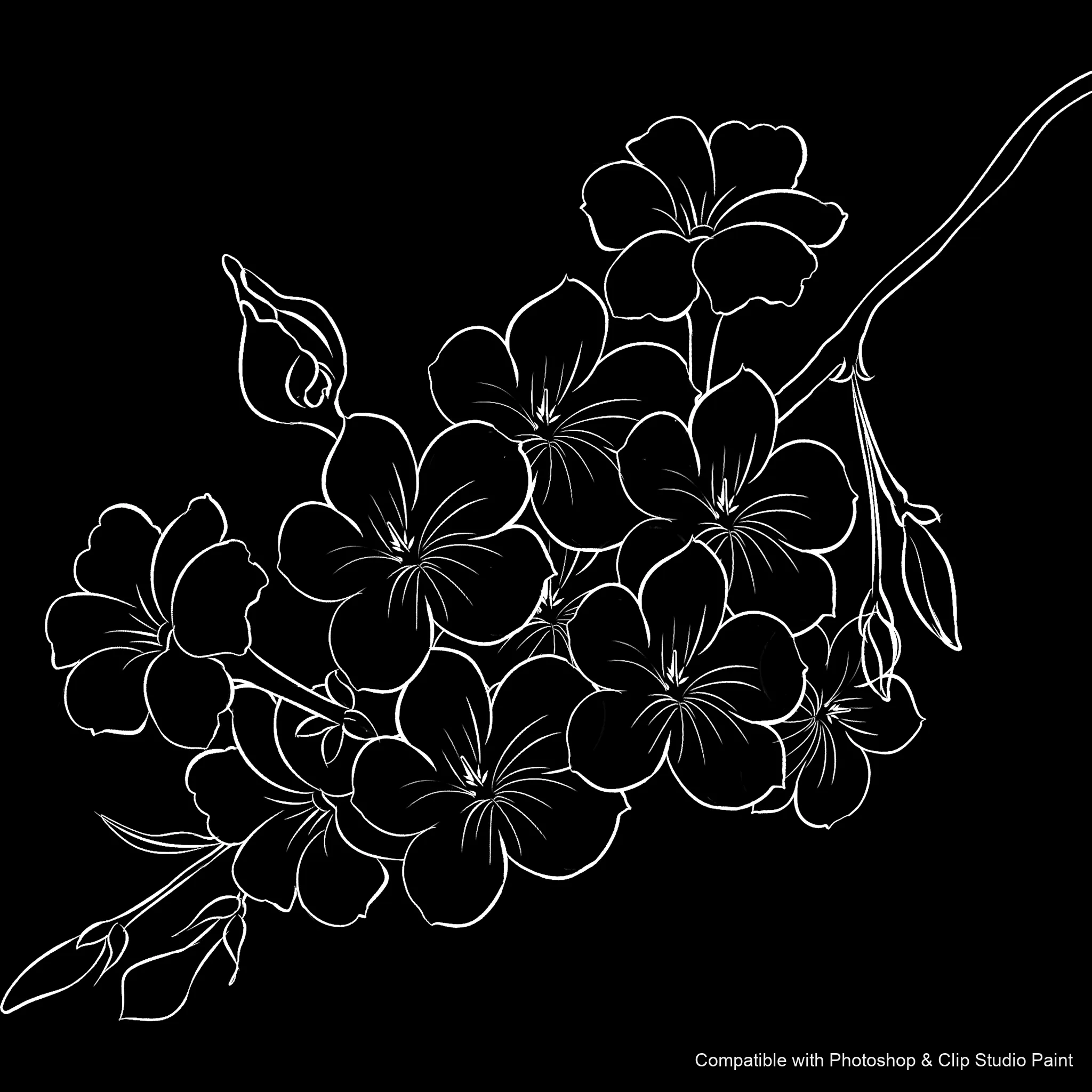 Bloom Craft brush 18 of 40 — Photoshop & Clip Studio Paint .abr preview