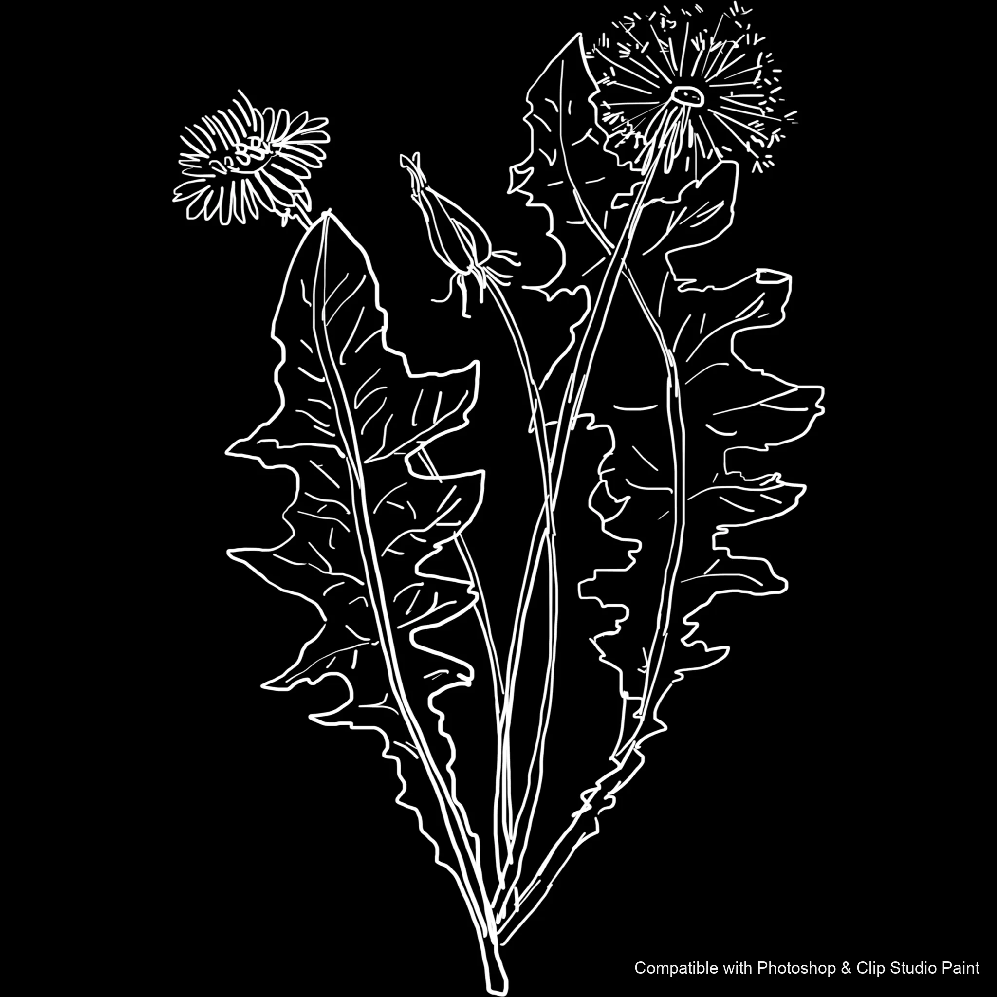 Bloom Craft brush 21 of 40 — Photoshop & Clip Studio Paint .abr preview