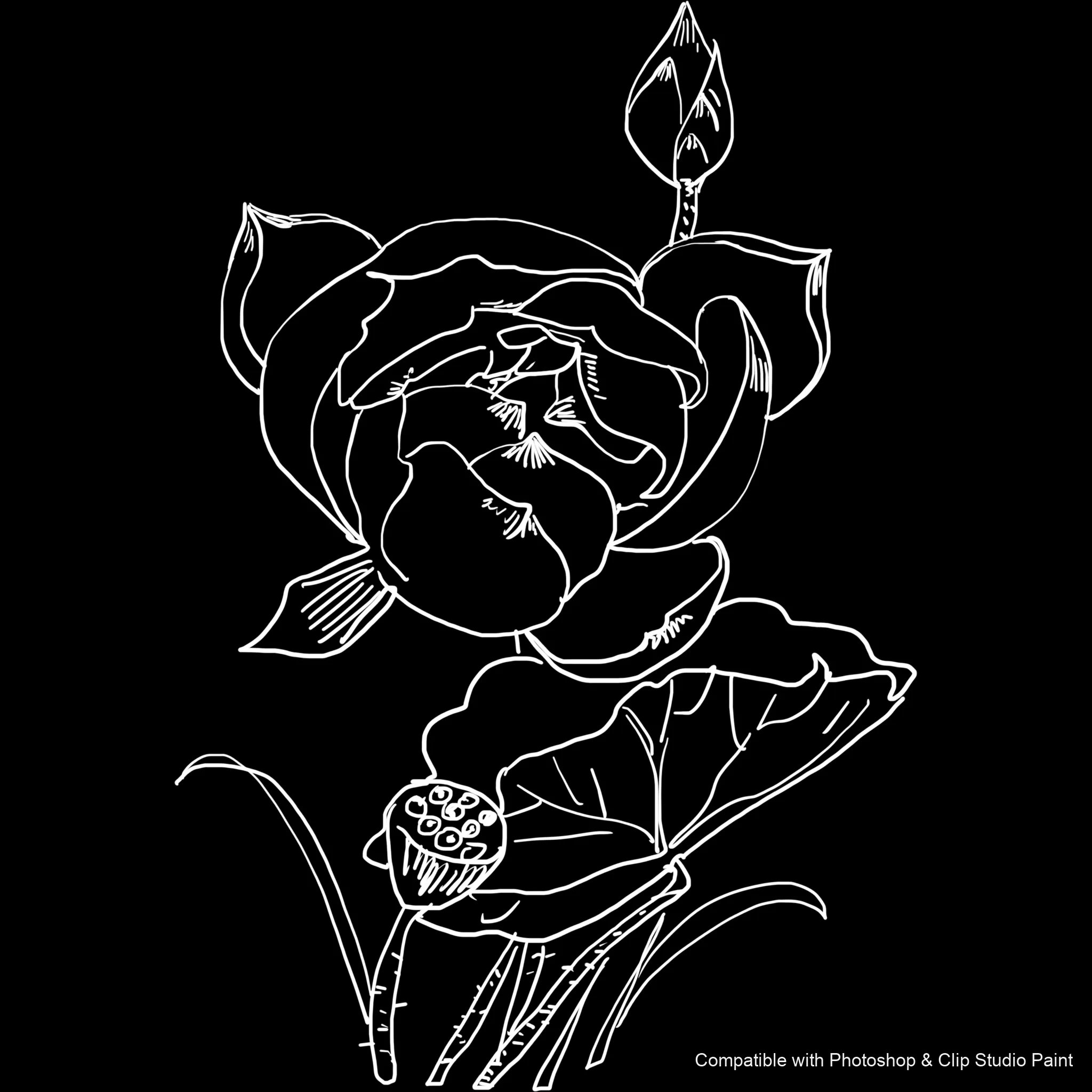 Bloom Craft brush 23 of 40 — Photoshop & Clip Studio Paint .abr preview