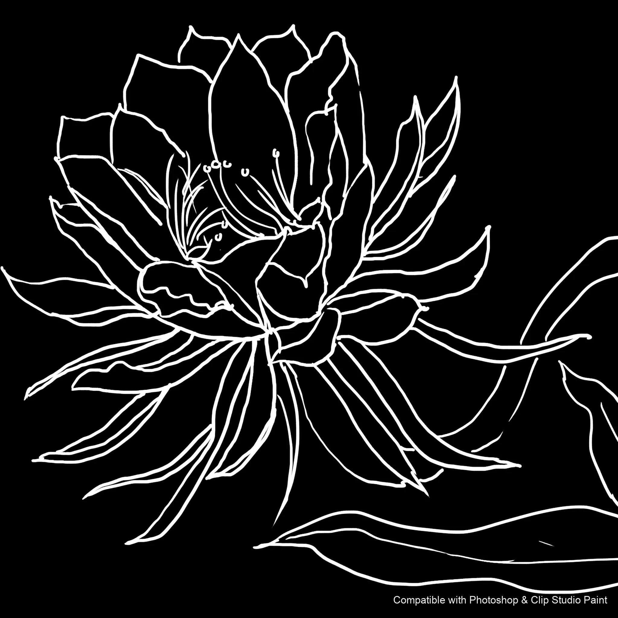 Bloom Craft brush 30 of 40 — Photoshop & Clip Studio Paint .abr preview