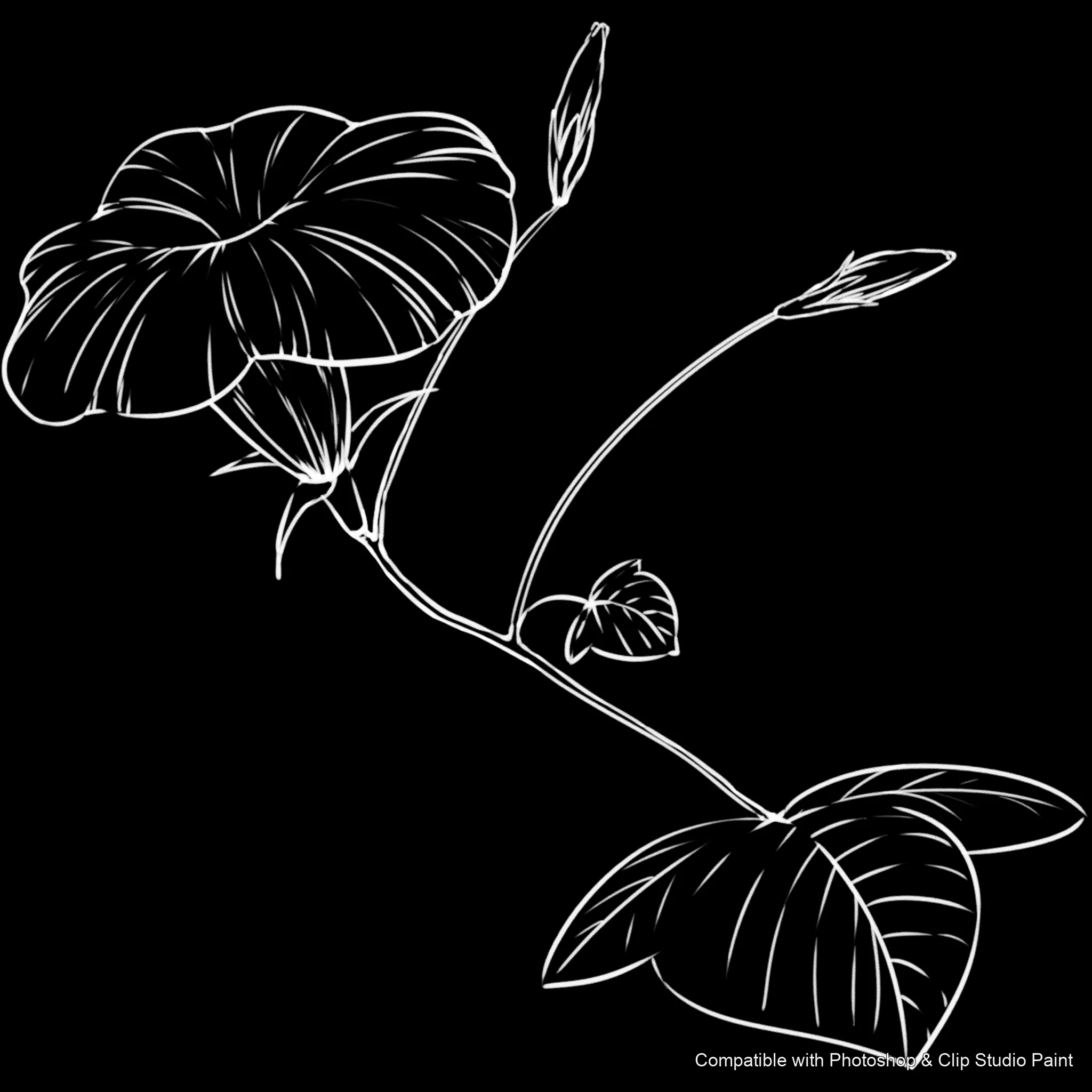 Bloom Craft brush 40 of 40 — Photoshop & Clip Studio Paint .abr preview