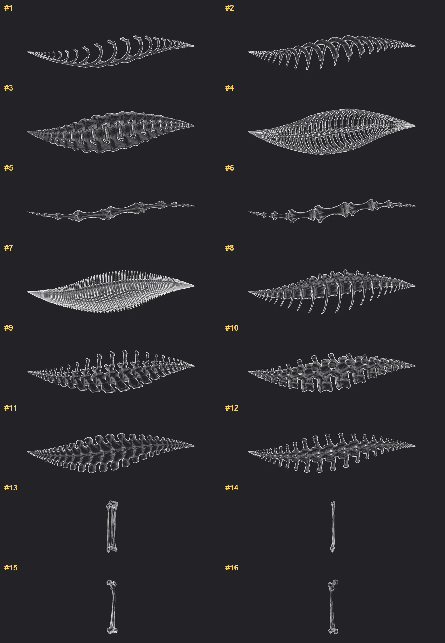 Bones Procreate brushes overview sheet 1