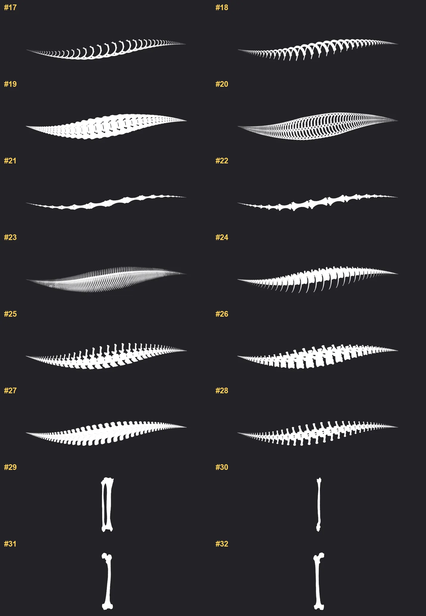 Bones Procreate brushes overview sheet 2