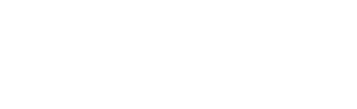 Christmas Patterns brush 25 of 46 — Procreate stamp preview