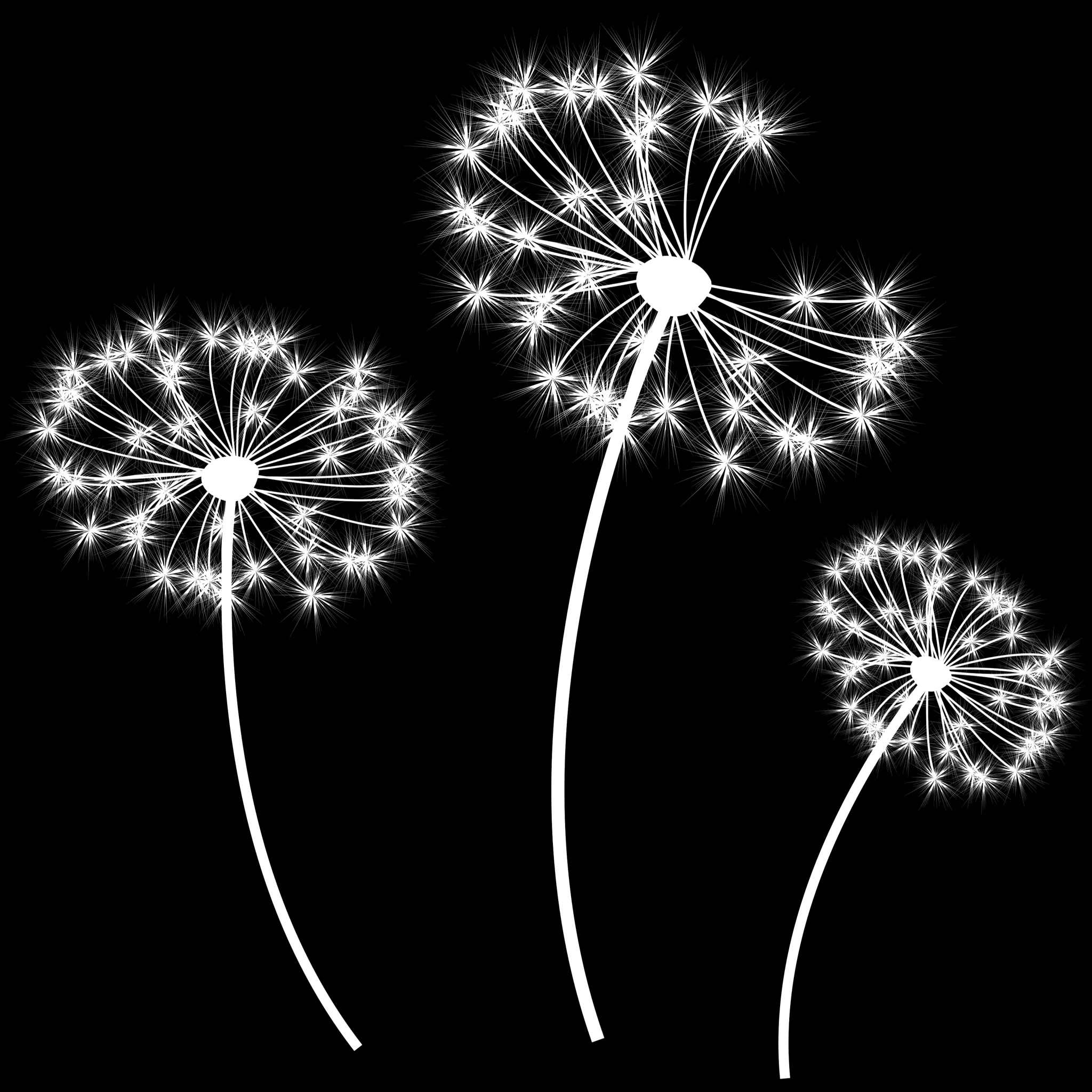 Dandelion Builder brush 17 of 46 — Procreate stamp preview