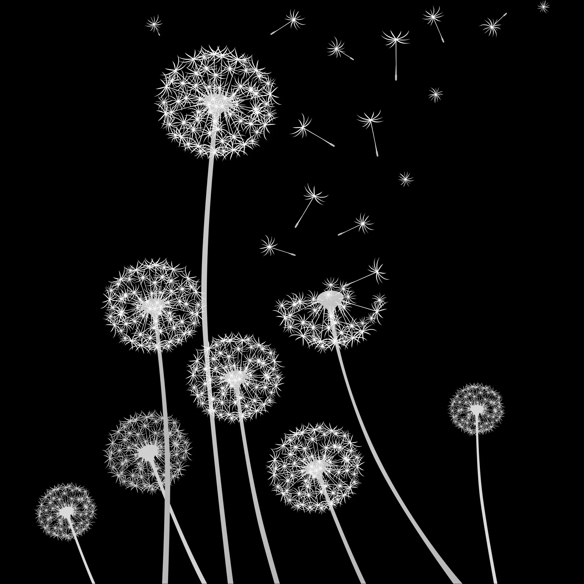 Dandelion Builder brush 18 of 46 — Procreate stamp preview