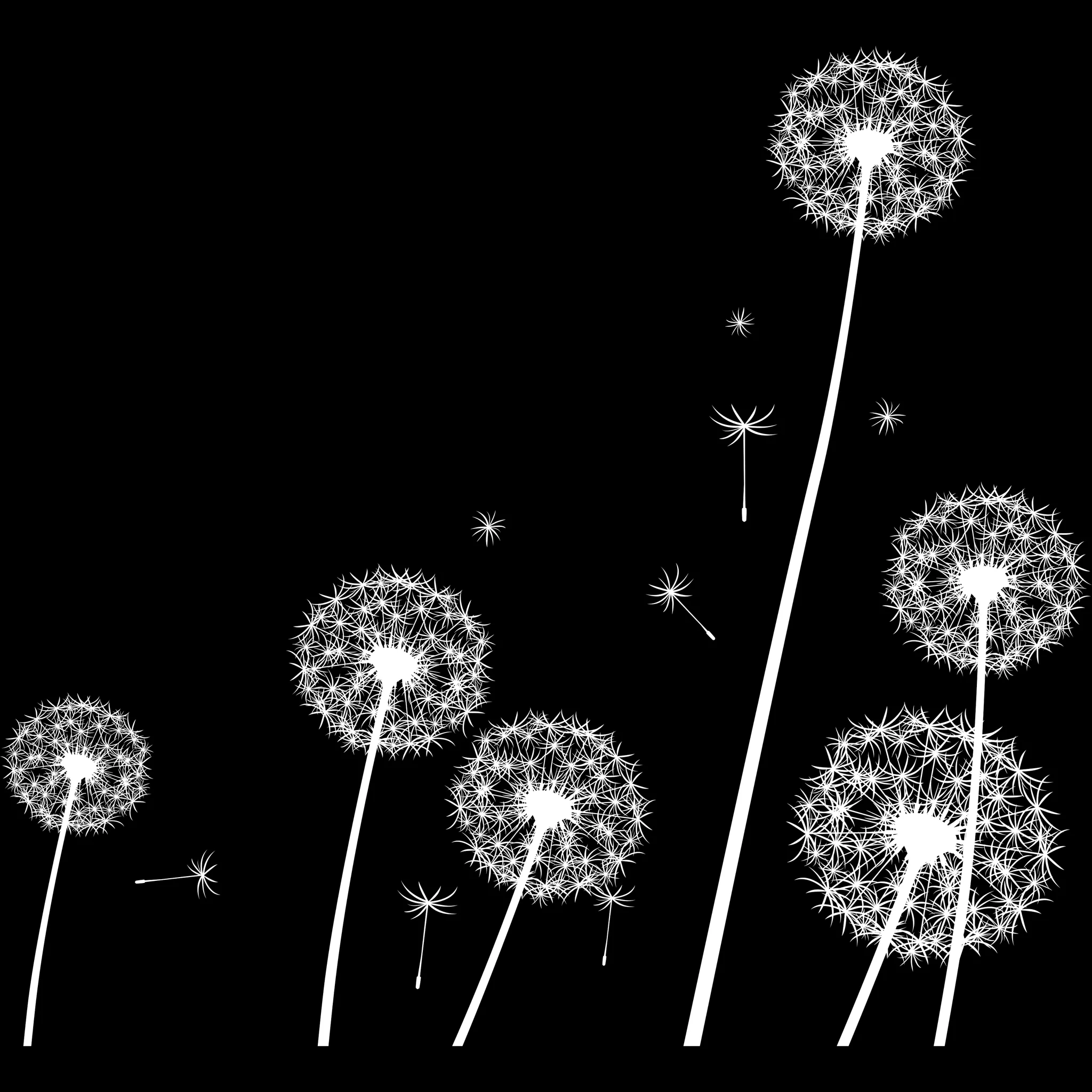 Dandelion Builder brush 19 of 46 — Procreate stamp preview