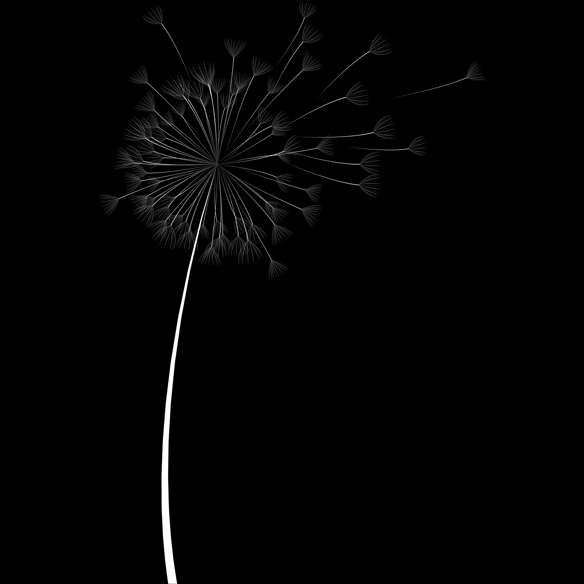 Dandelion Builder brush 21 of 46 — Procreate stamp preview
