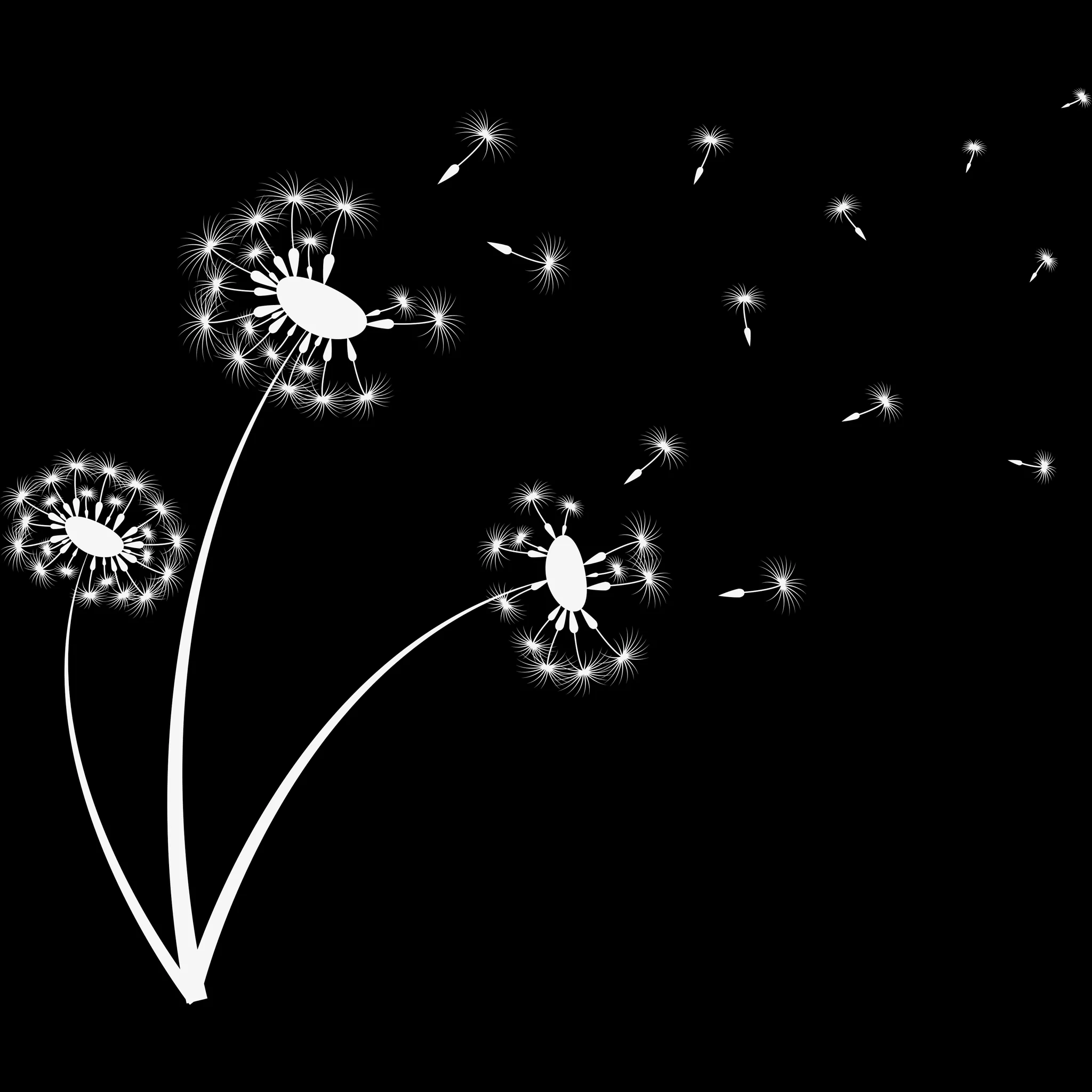 Dandelion Builder brush 22 of 46 — Procreate stamp preview