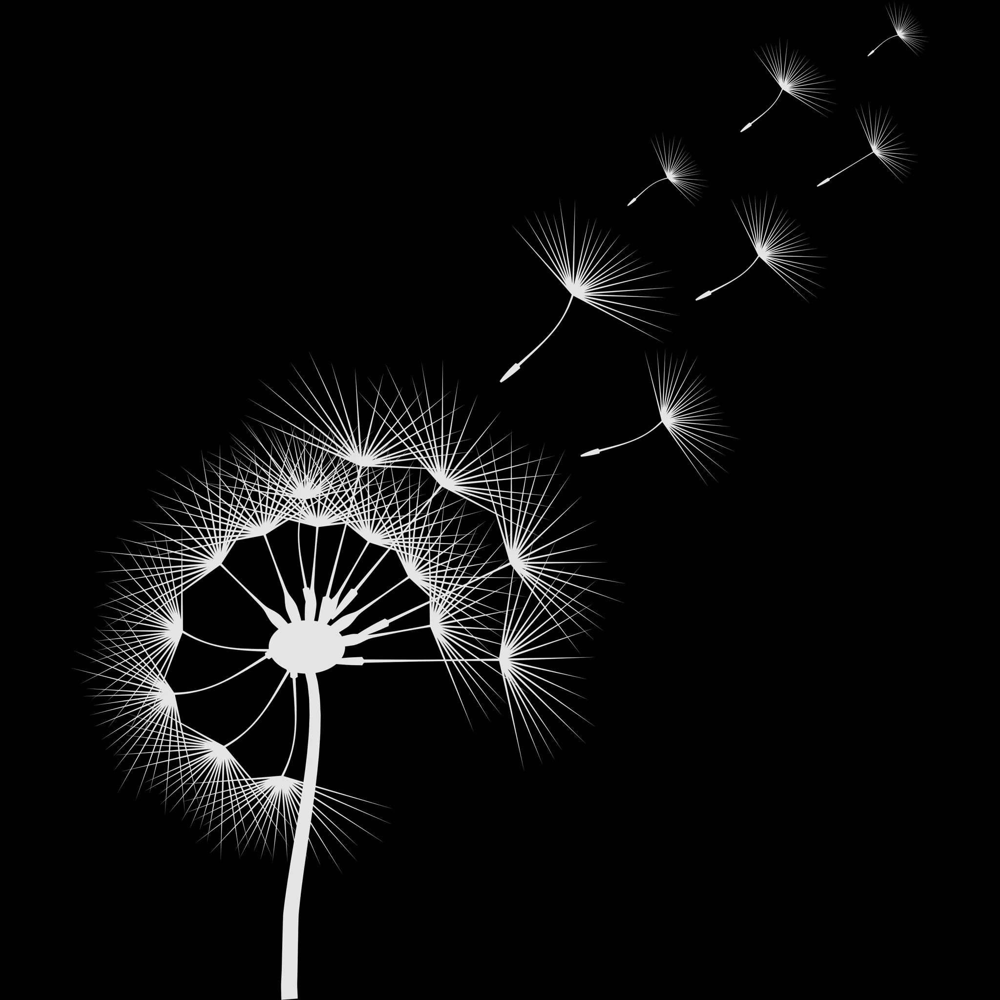 Dandelion Builder brush 24 of 46 — Procreate stamp preview