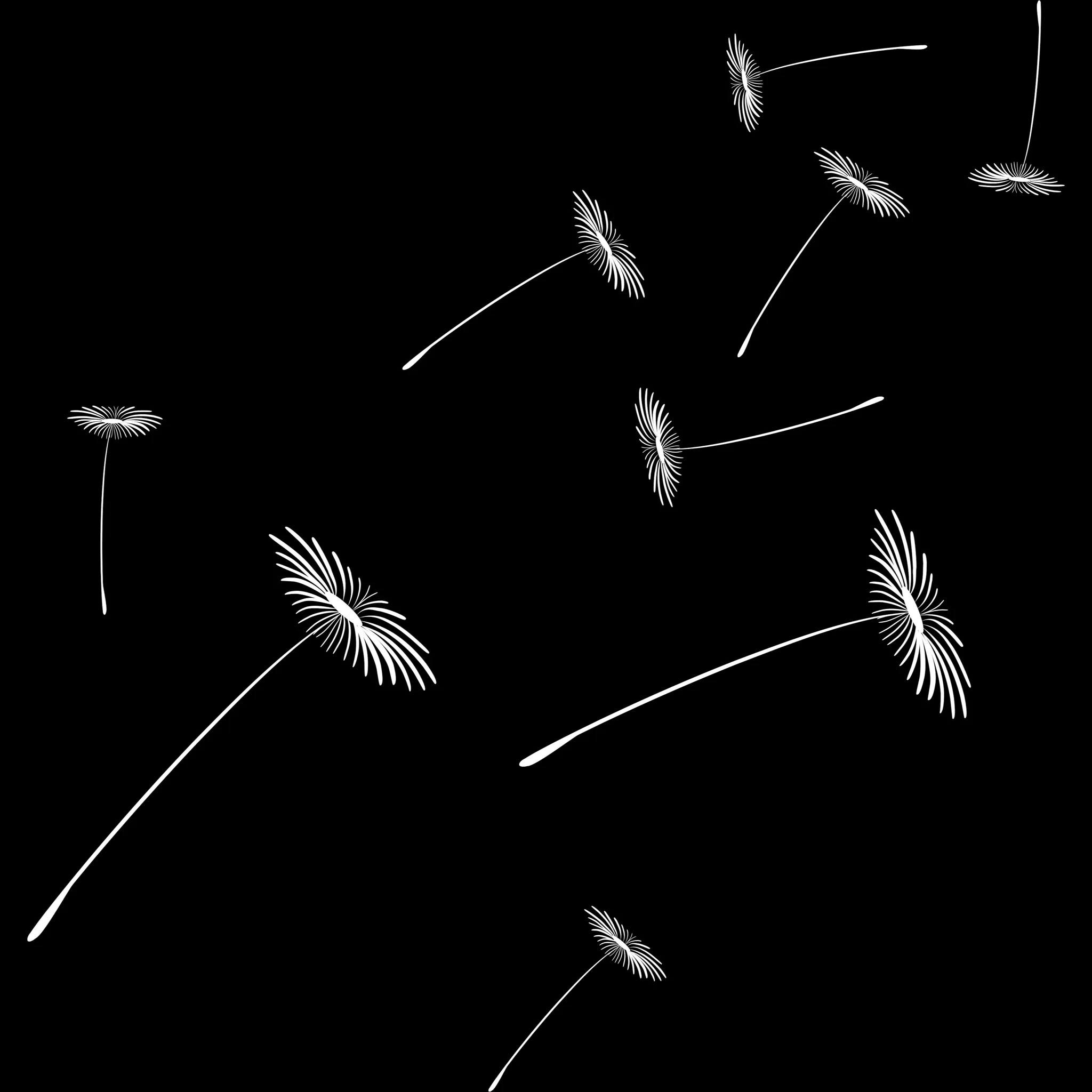 Dandelion Builder brush 36 of 46 — Procreate stamp preview