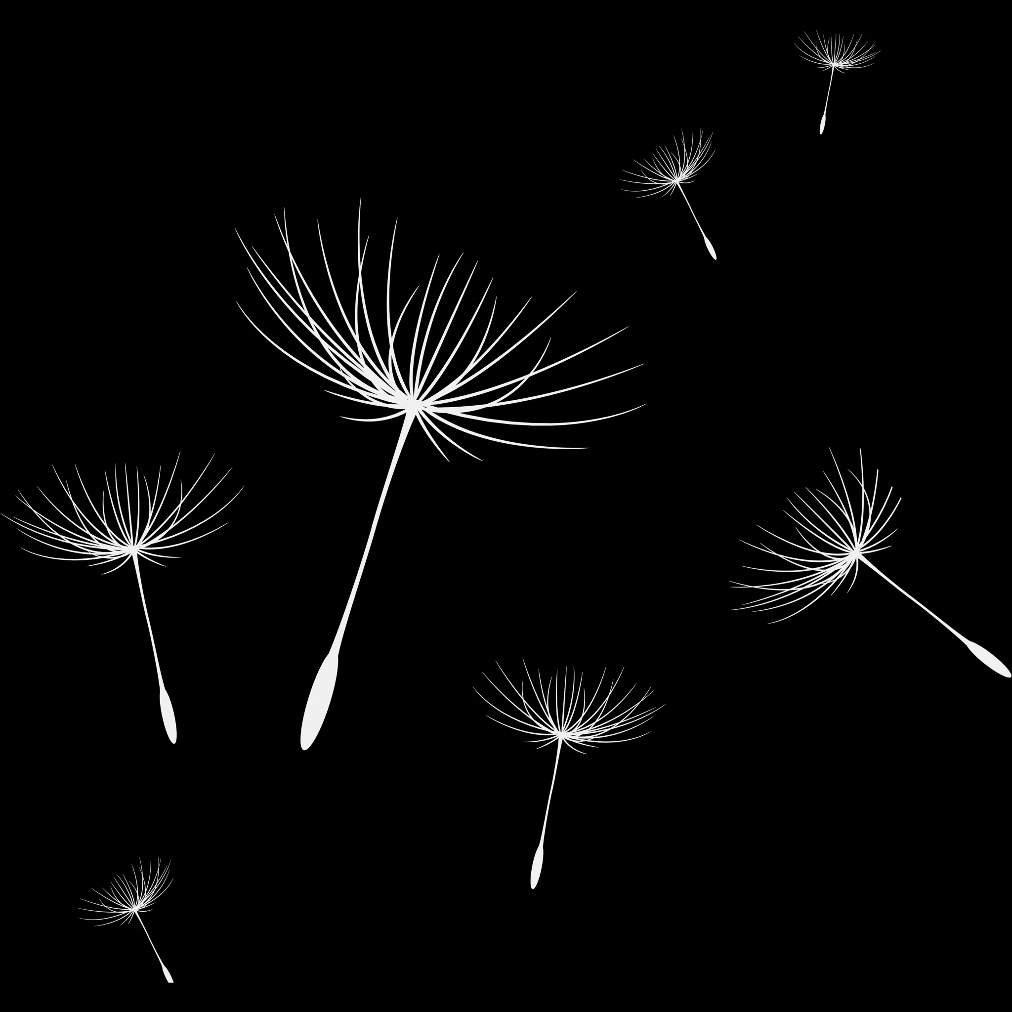 Dandelion Builder brush 41 of 46 — Procreate stamp preview