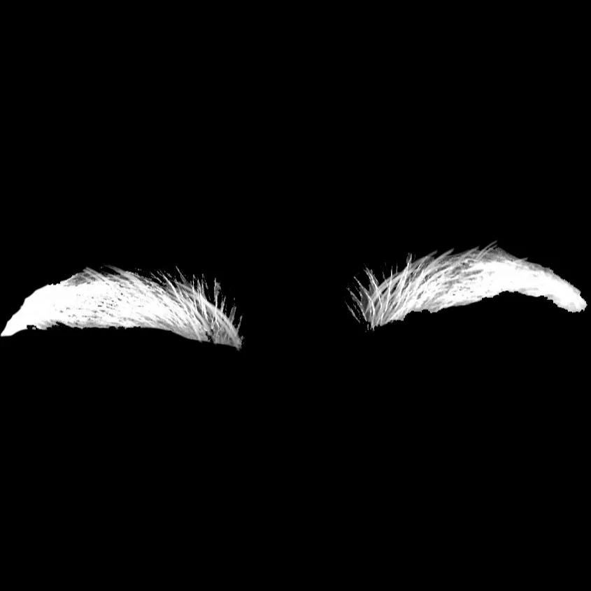 Eyebrow Builder brush 25 of 28 — Procreate stamp preview