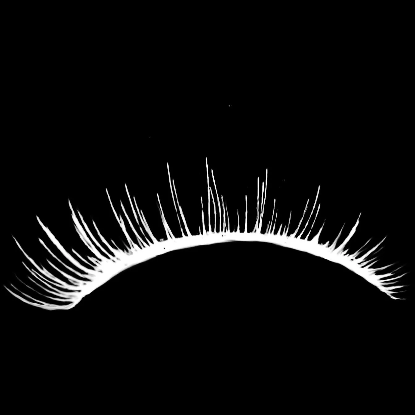 Eyelash Kit brush 20 of 46 — Procreate stamp preview