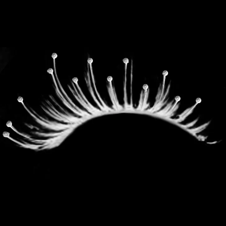 Eyelash Kit brush 22 of 46 — Procreate stamp preview