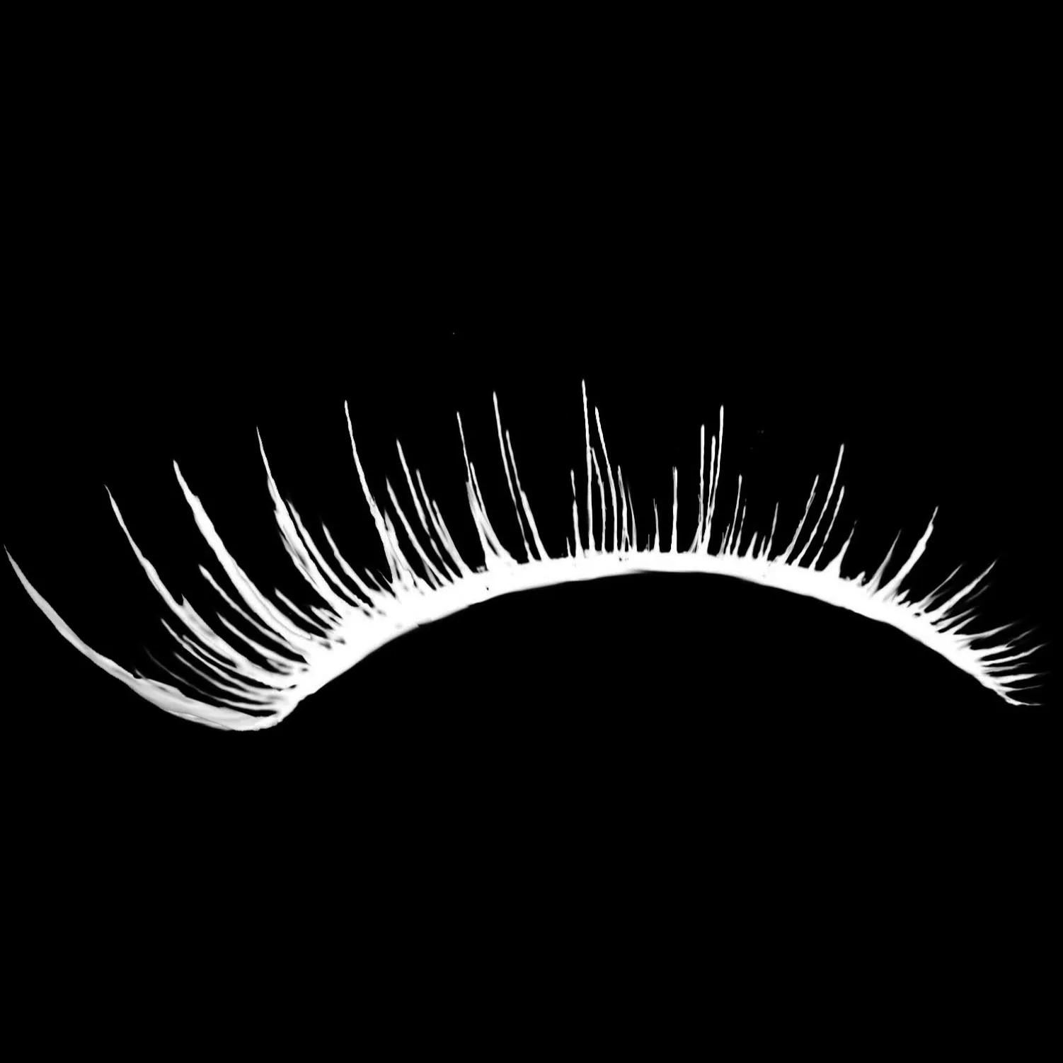 Eyelash Kit brush 23 of 46 — Procreate stamp preview