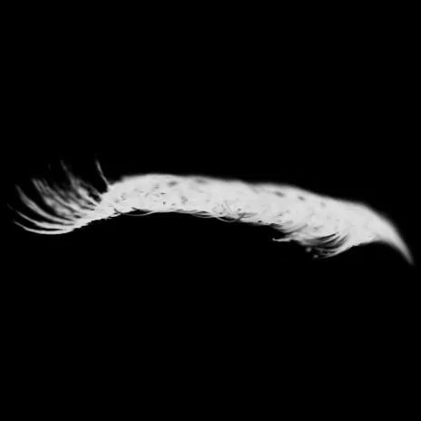 Eyelash Kit brush 24 of 46 — Procreate stamp preview