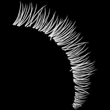 Eyelash Kit brush 29 of 46 — Procreate stamp preview