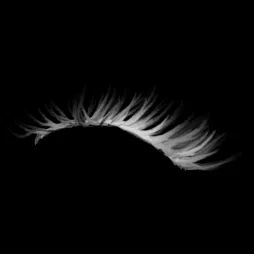 Eyelash Kit brush 40 of 46 — Procreate stamp preview