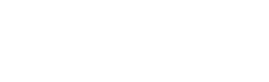 Feathers brush 5 of 26 — Procreate stamp preview