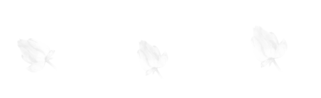 Flower Border brush 6 of 46 — Procreate stamp preview