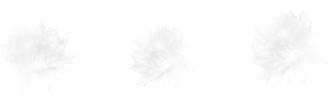 Flower Border brush 9 of 46 — Procreate stamp preview