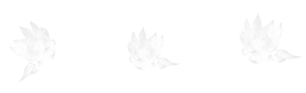Flower Border brush 10 of 46 — Procreate stamp preview