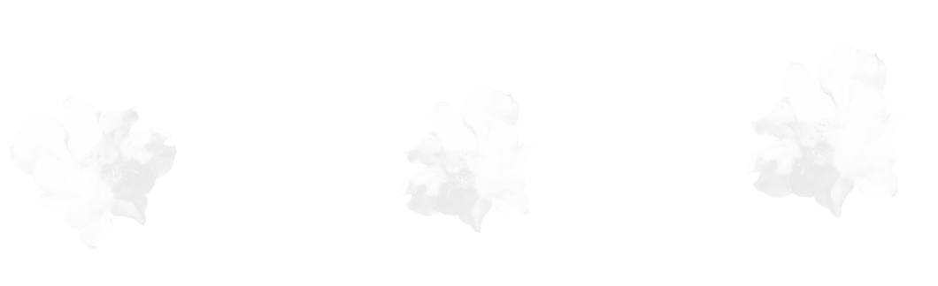 Flower Border brush 13 of 46 — Procreate stamp preview
