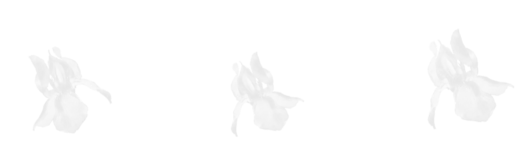Flower Border brush 15 of 46 — Procreate stamp preview