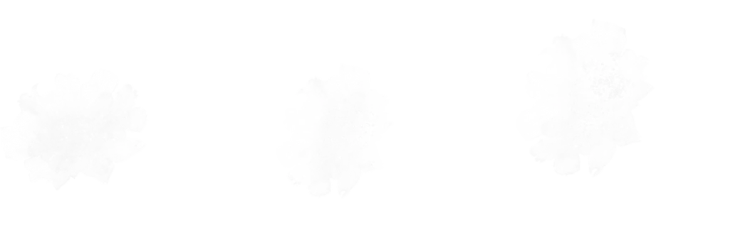 Flower Border brush 18 of 46 — Procreate stamp preview