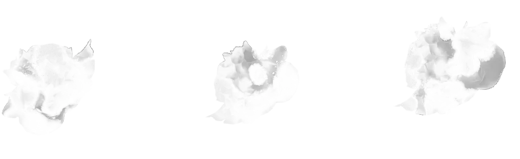 Flower Border brush 22 of 46 — Procreate stamp preview
