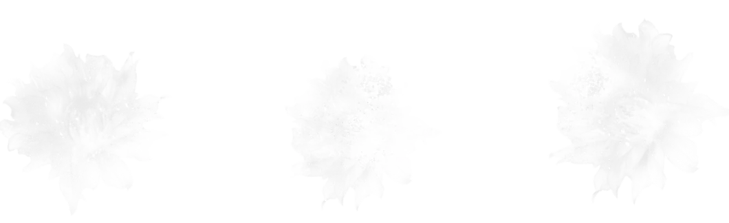 Flower Border brush 24 of 46 — Procreate stamp preview