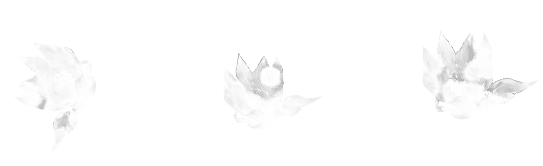 Flower Border brush 29 of 46 — Procreate stamp preview