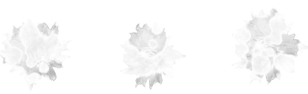 Flower Border brush 34 of 46 — Procreate stamp preview