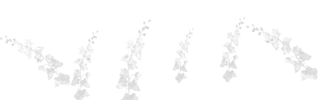 Flower Border brush 35 of 46 — Procreate stamp preview