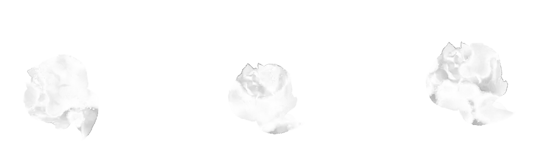 Flower Border brush 37 of 46 — Procreate stamp preview