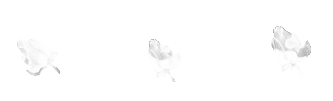 Flower Border brush 42 of 46 — Procreate stamp preview