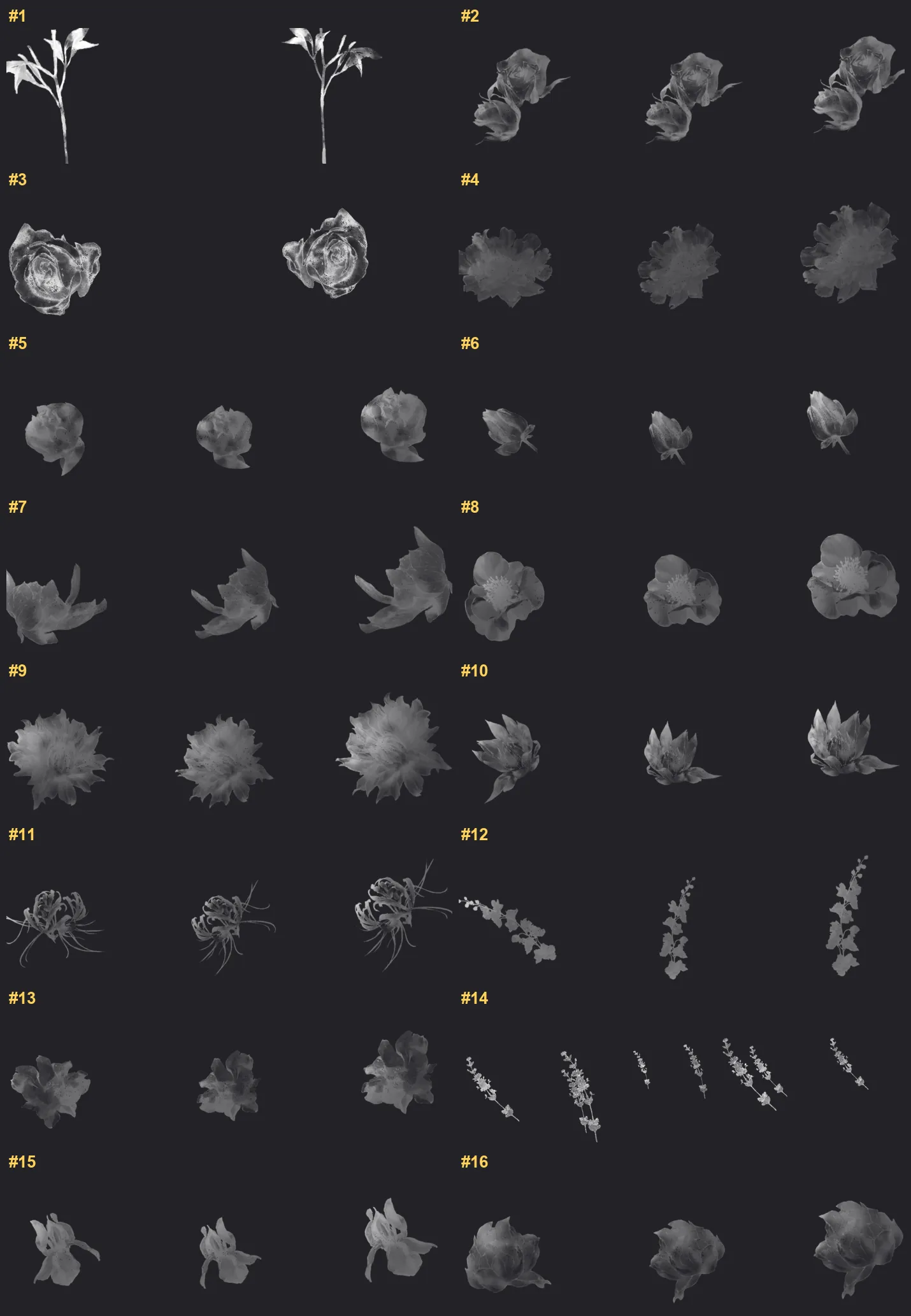 Flower Border Procreate brushes overview sheet 1