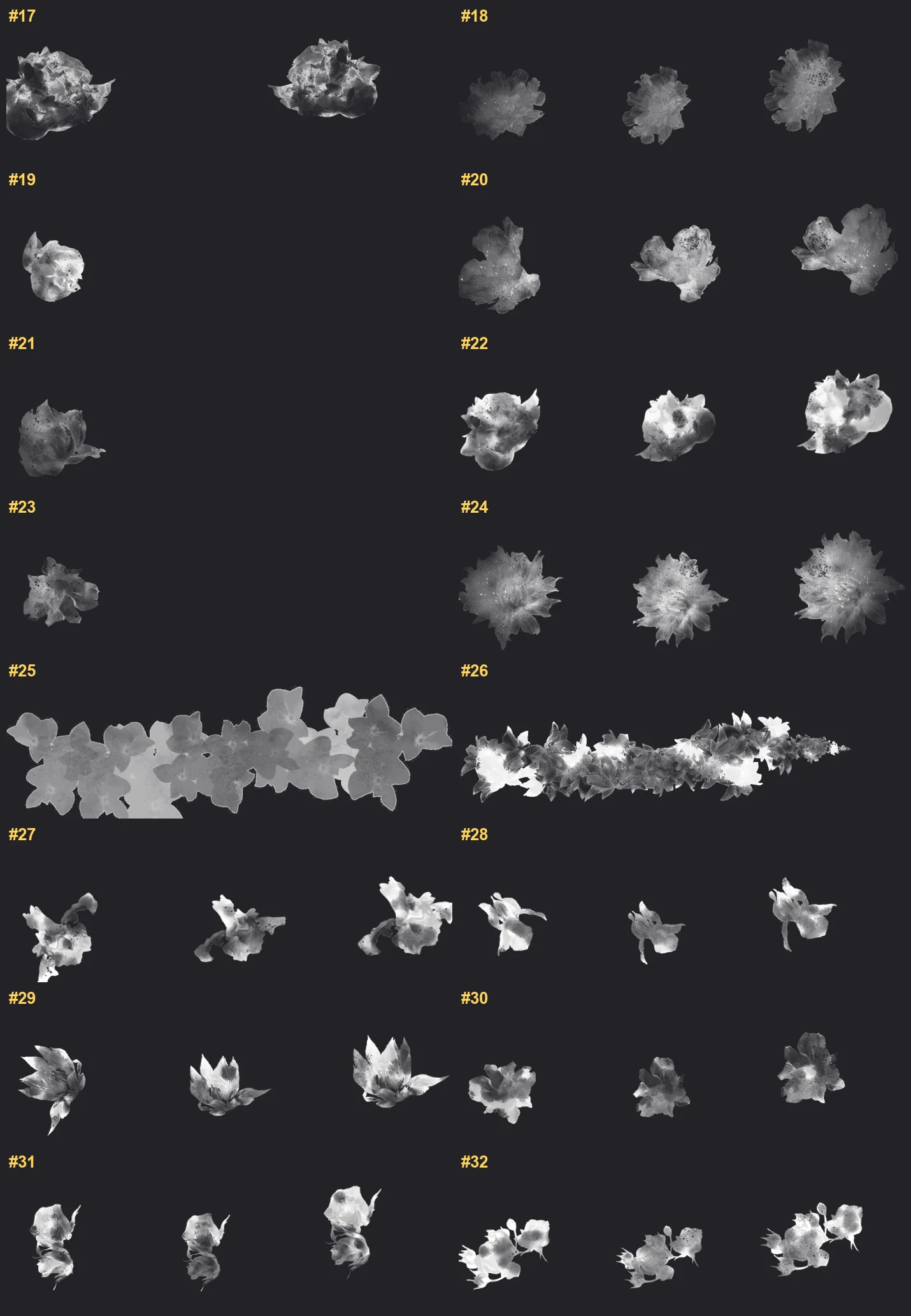 Flower Border Procreate brushes overview sheet 2