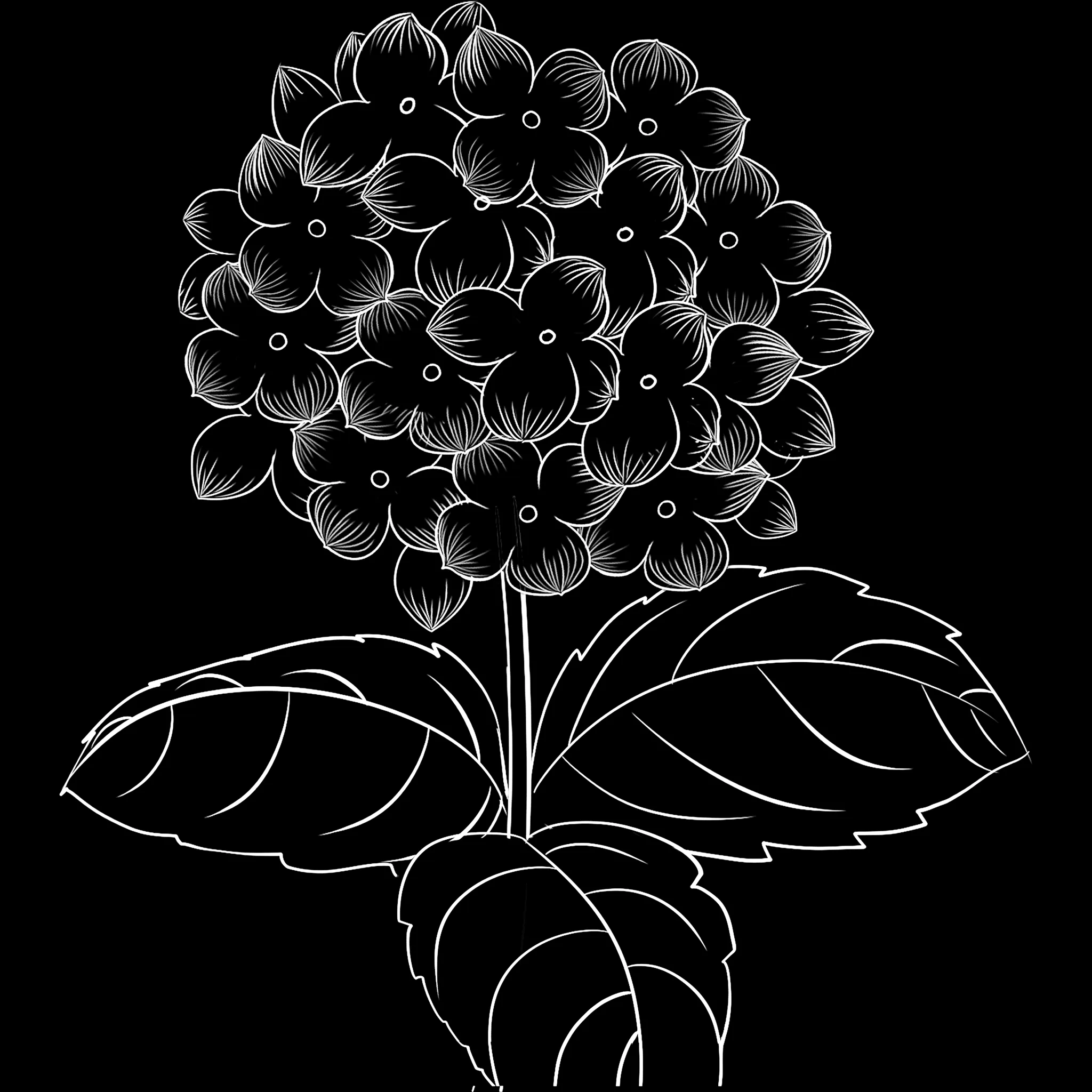 FlowerCraft brush 16 of 40 — Procreate stamp preview