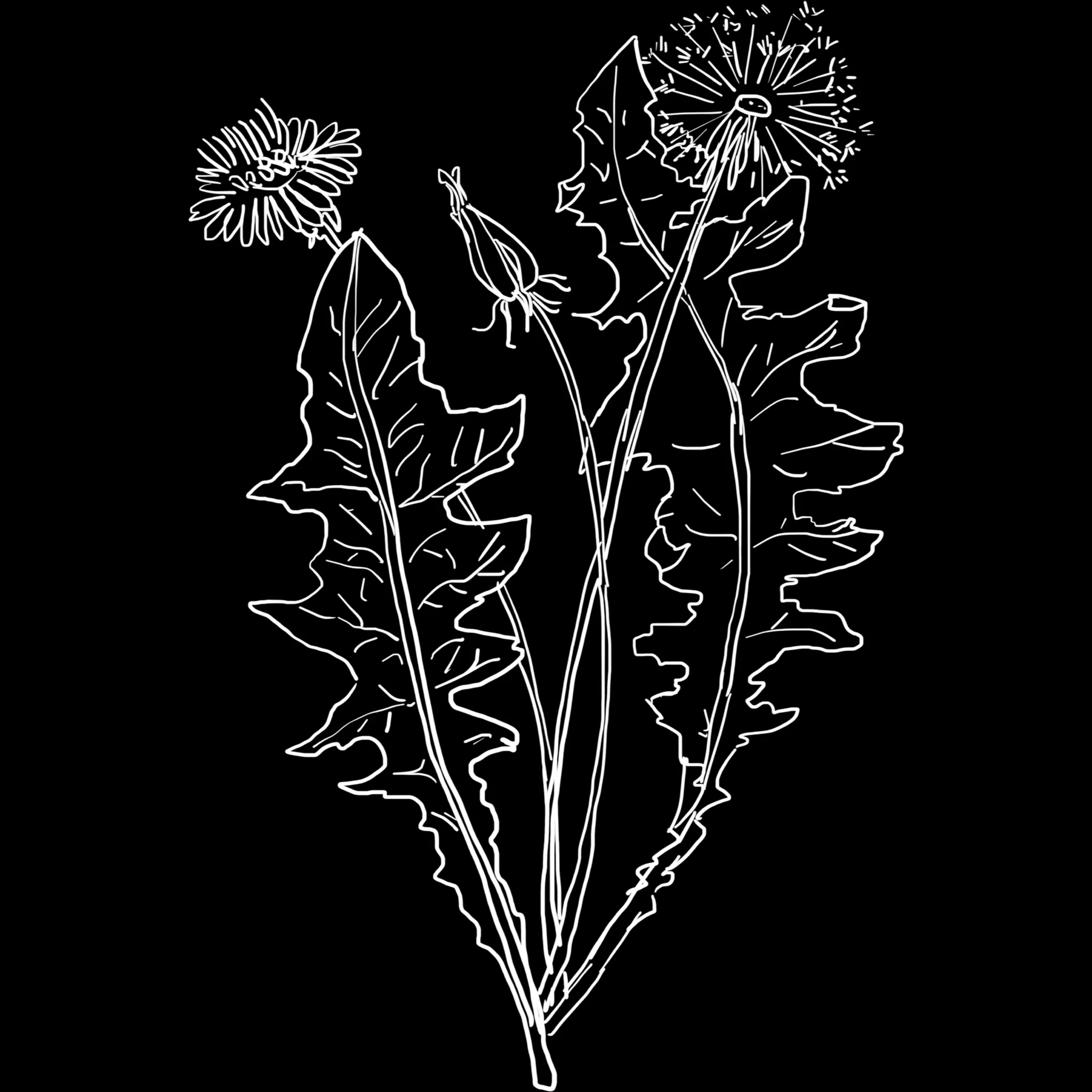 FlowerCraft brush 21 of 40 — Procreate stamp preview