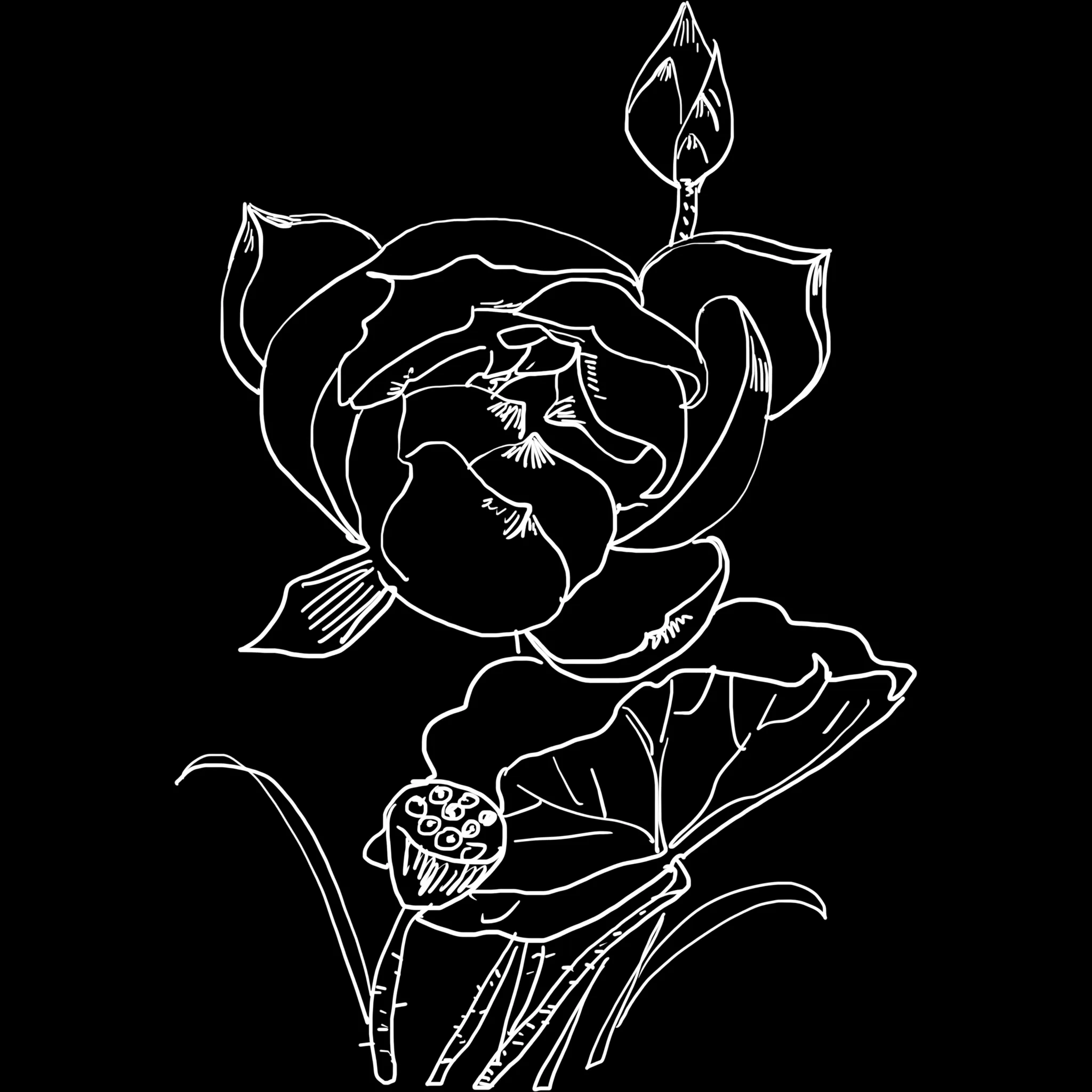 FlowerCraft brush 23 of 40 — Procreate stamp preview