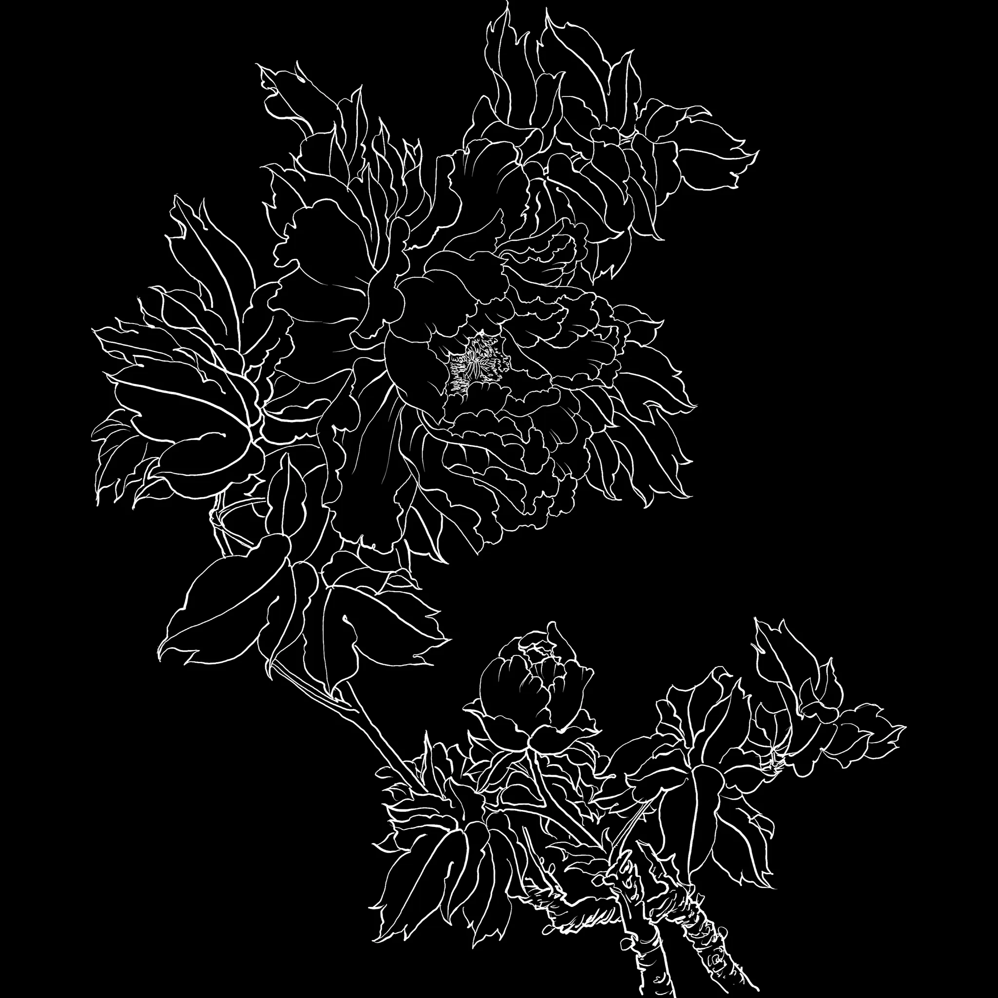 FlowerCraft brush 29 of 40 — Procreate stamp preview