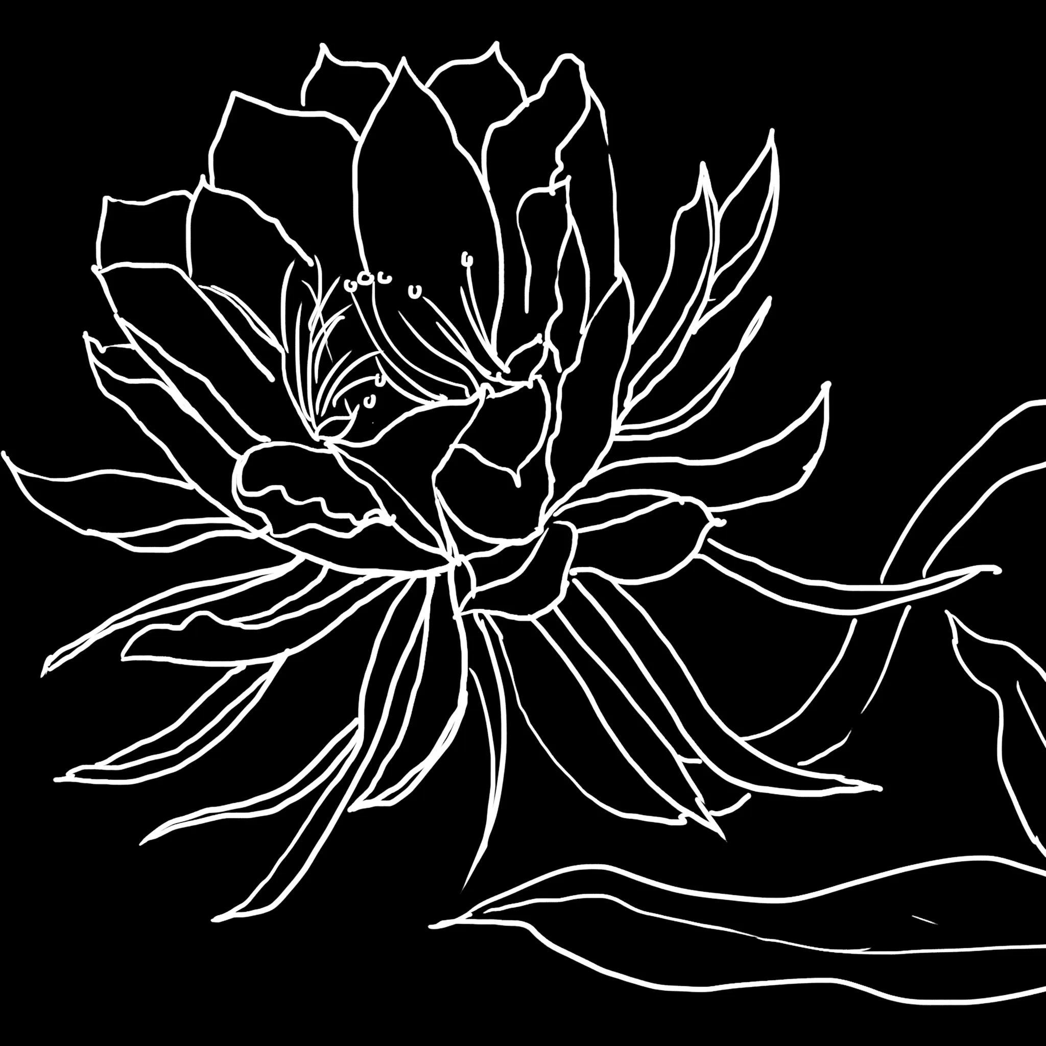 FlowerCraft brush 30 of 40 — Procreate stamp preview