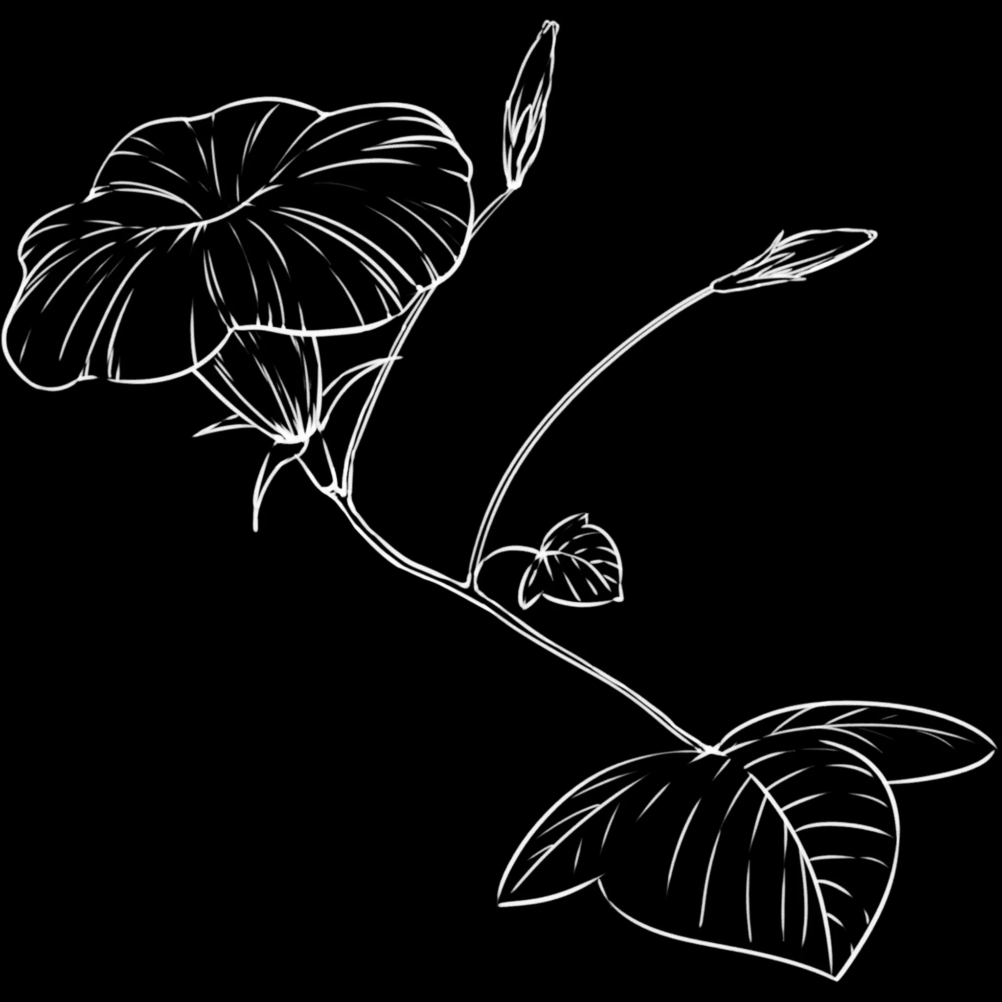 FlowerCraft brush 40 of 40 — Procreate stamp preview