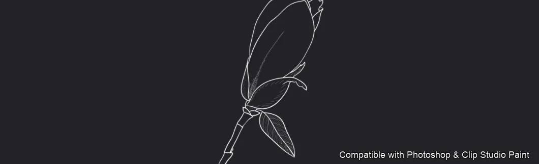 Magnolia Bloom brush 23 of 60 — Photoshop & Clip Studio Paint .abr preview
