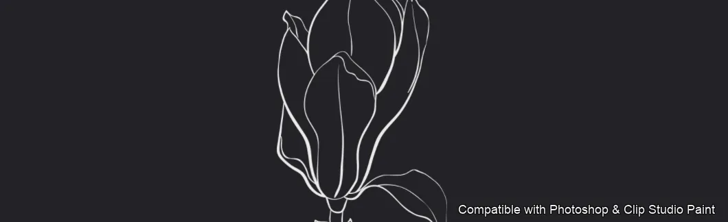 Magnolia Bloom brush 44 of 60 — Photoshop & Clip Studio Paint .abr preview