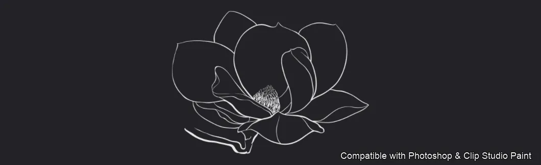 Magnolia Bloom brush 45 of 60 — Photoshop & Clip Studio Paint .abr preview